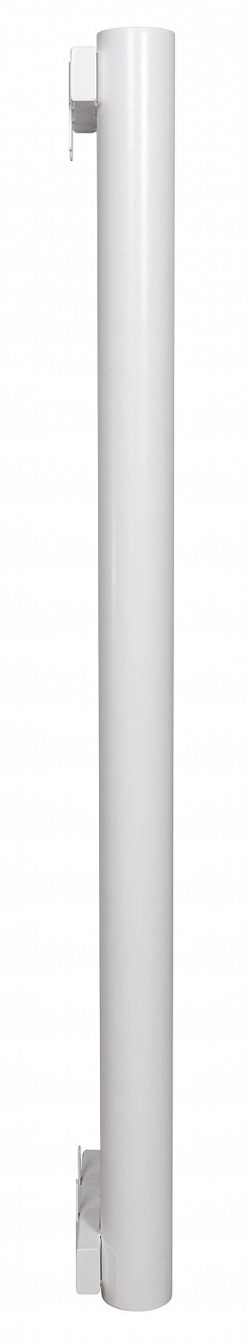 R89V