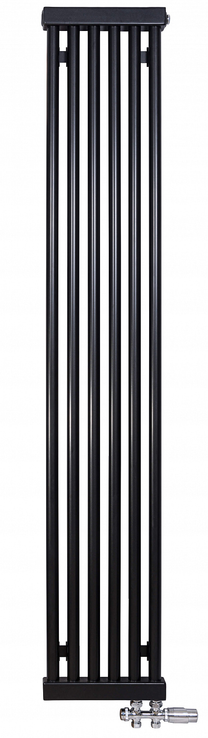 RT1V